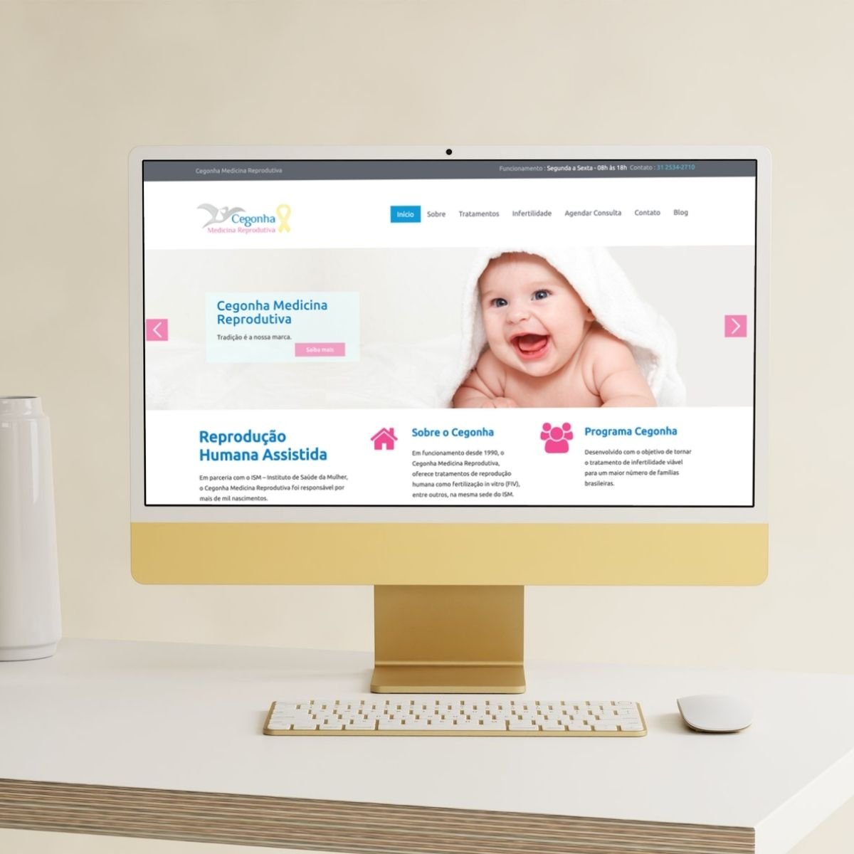 Cegonha Medicina Reprodutiva — Website